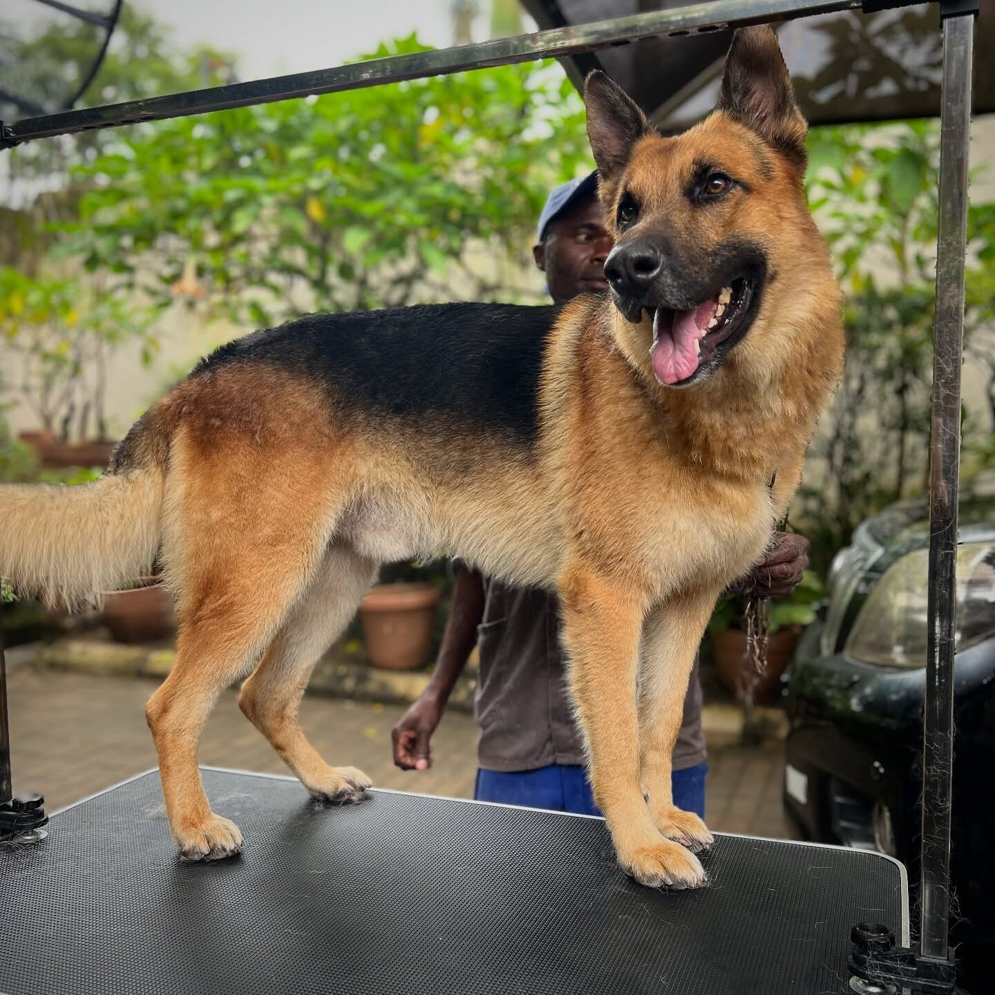 about-me-01 619825442 17870394186519849 2259648555820533516 n